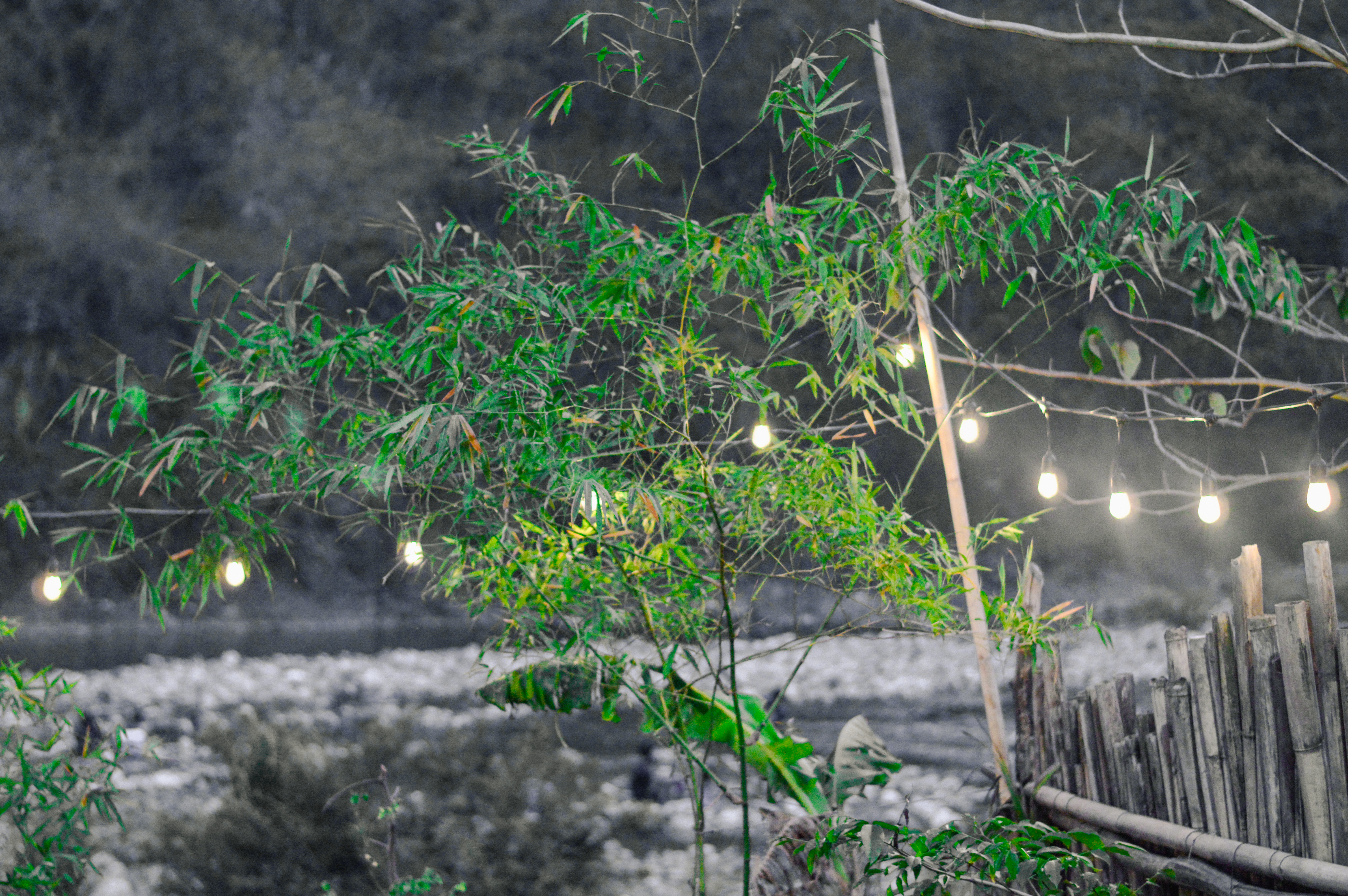 Green Landscape